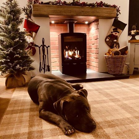 Woodland Cottage - Private Courtyard - Pet Friendly Retreat In The Heart Of Windermere Esterno foto